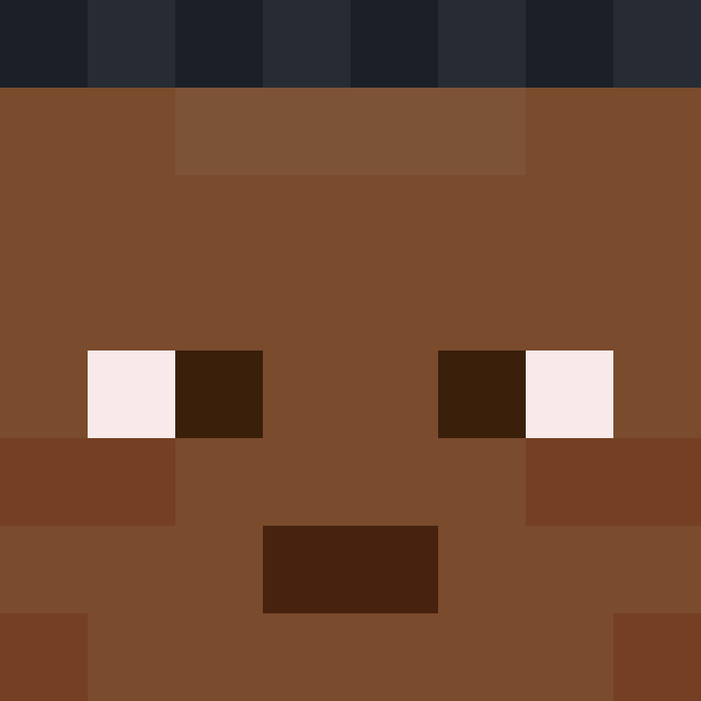 TheCuriousMiner's skin