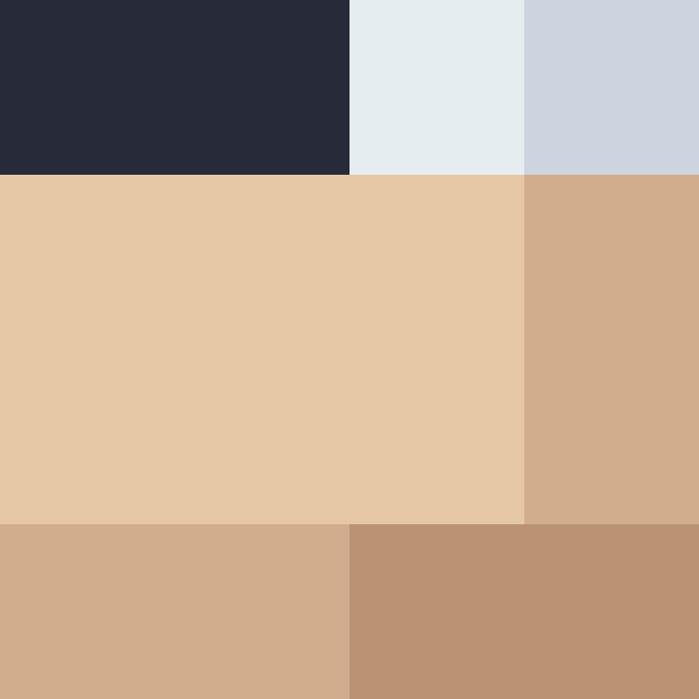 PtakopyskCZ's skin