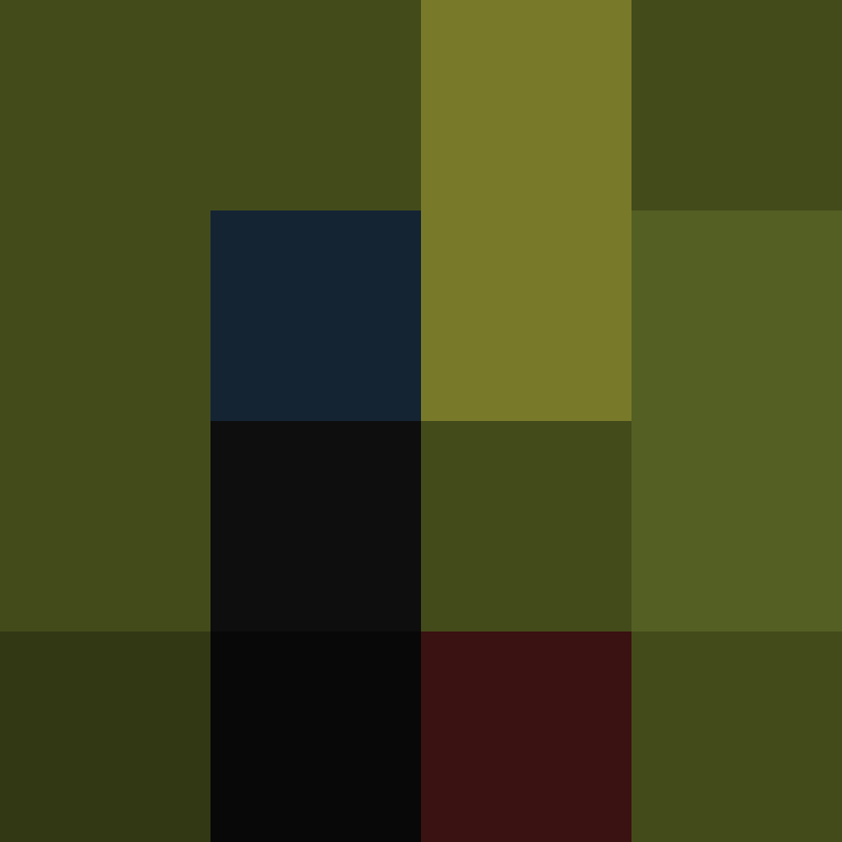 Cartizoll's skin