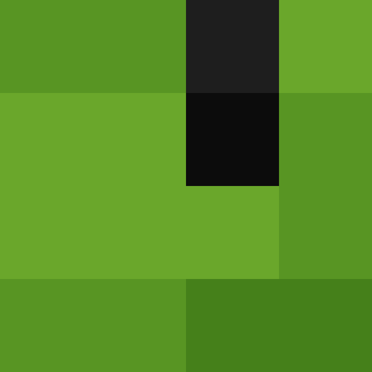 tusg's skin