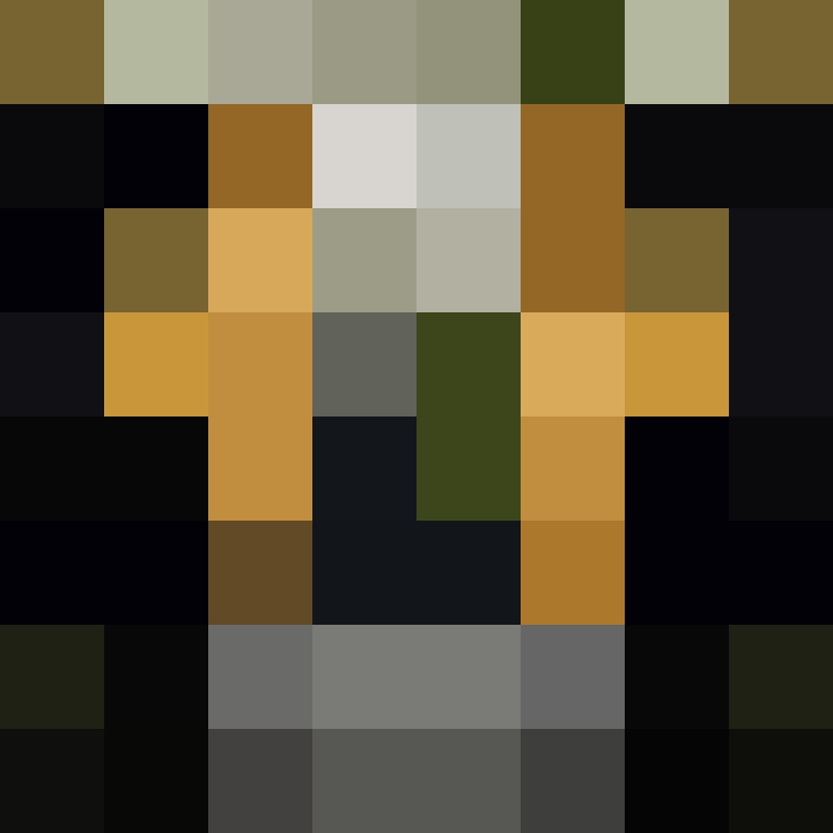 Cartizoll's skin