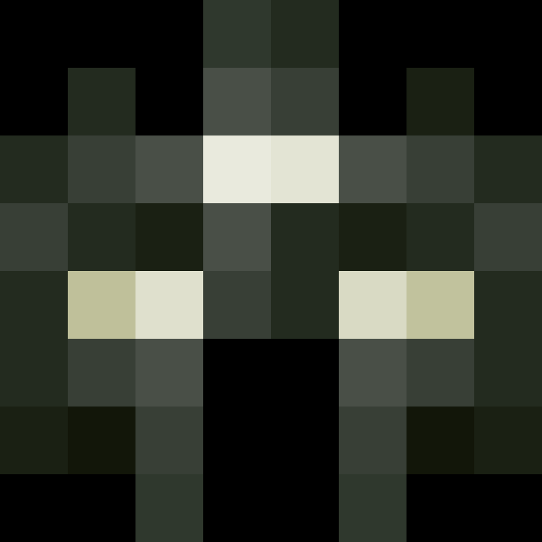 acin5's skin