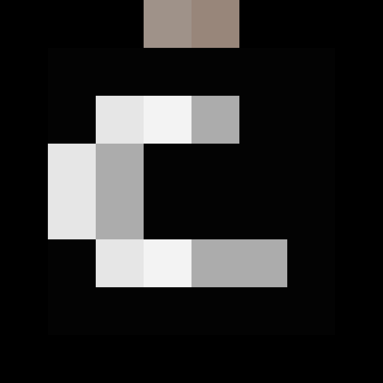 BukkitAPI's skin