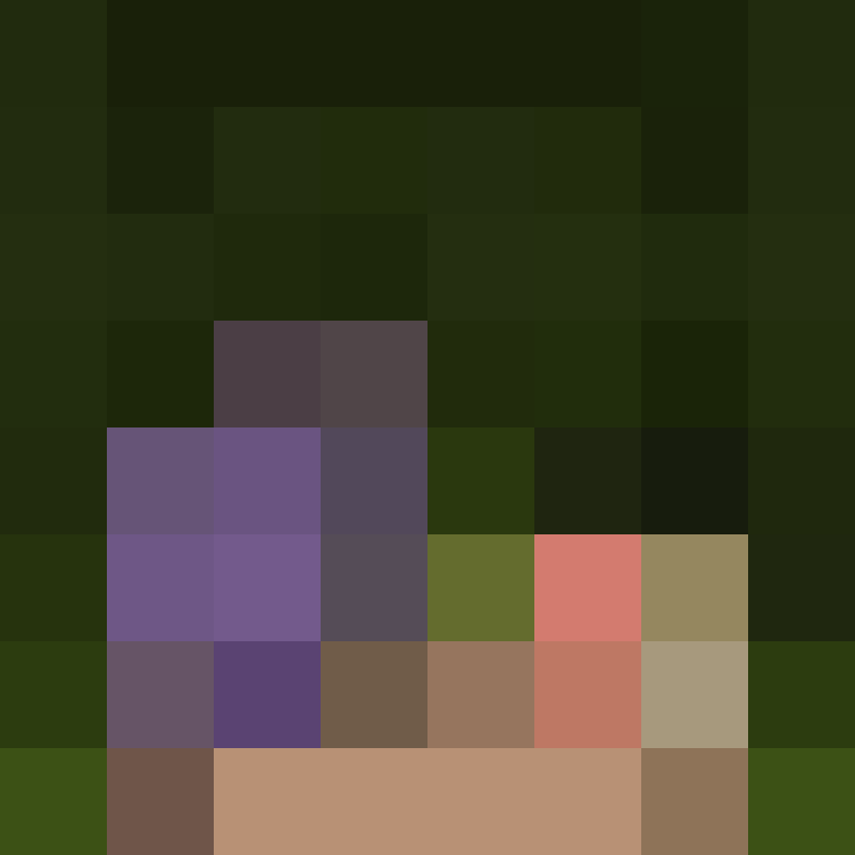 _pakman_'s skin