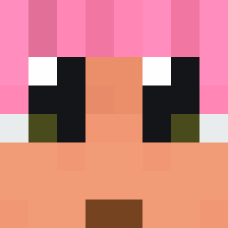 8aca680b22461340's skin