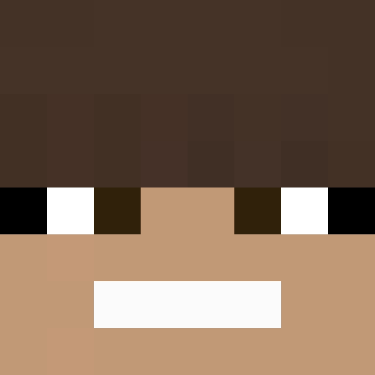xX_No_Income_Xx's skin