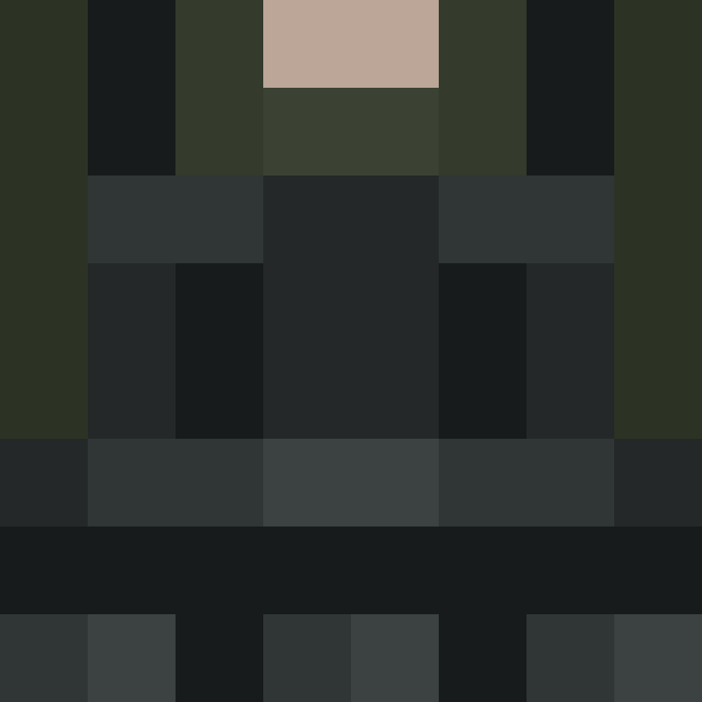 wiredframe's skin
