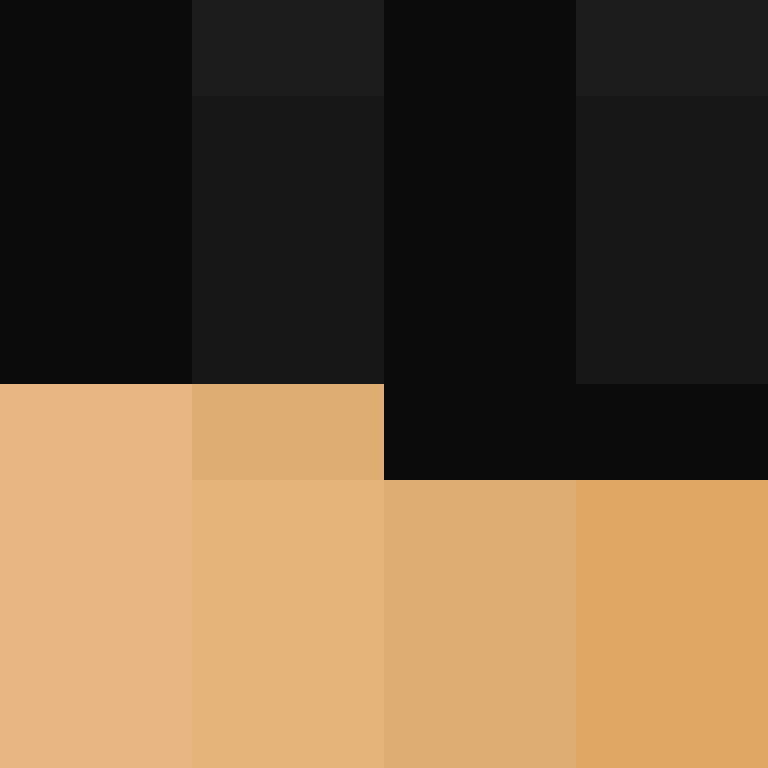 Cartizoll's skin