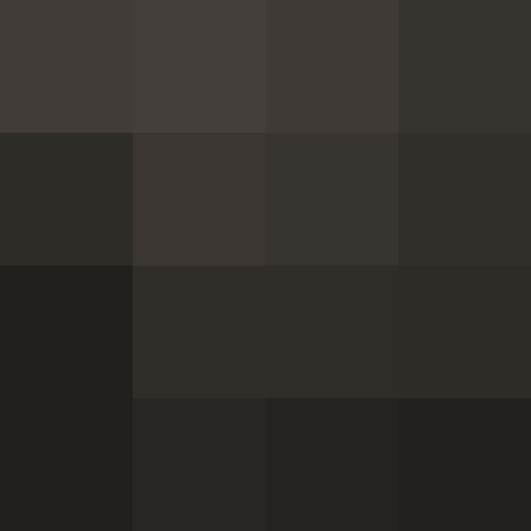 AutoSkin's skin