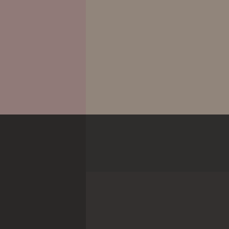 xX_No_Income_Xx's skin