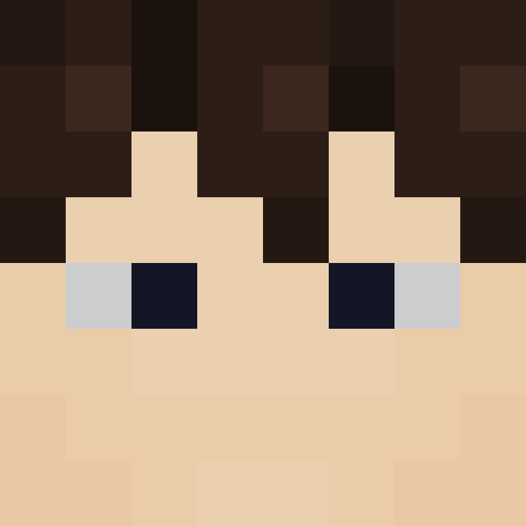 wiredframe's skin