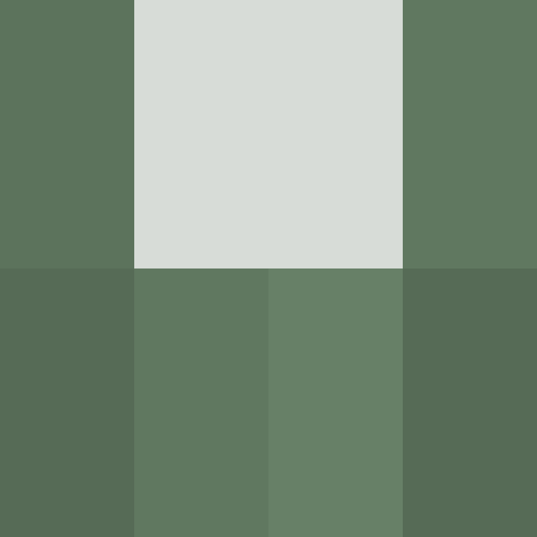 BukkitAPI's skin
