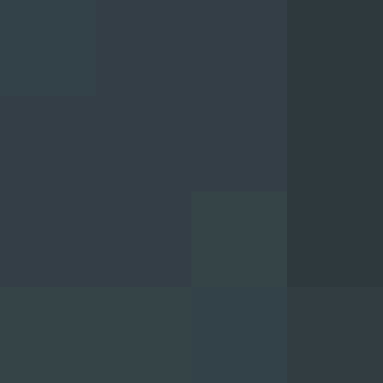 CeilingBird's skin
