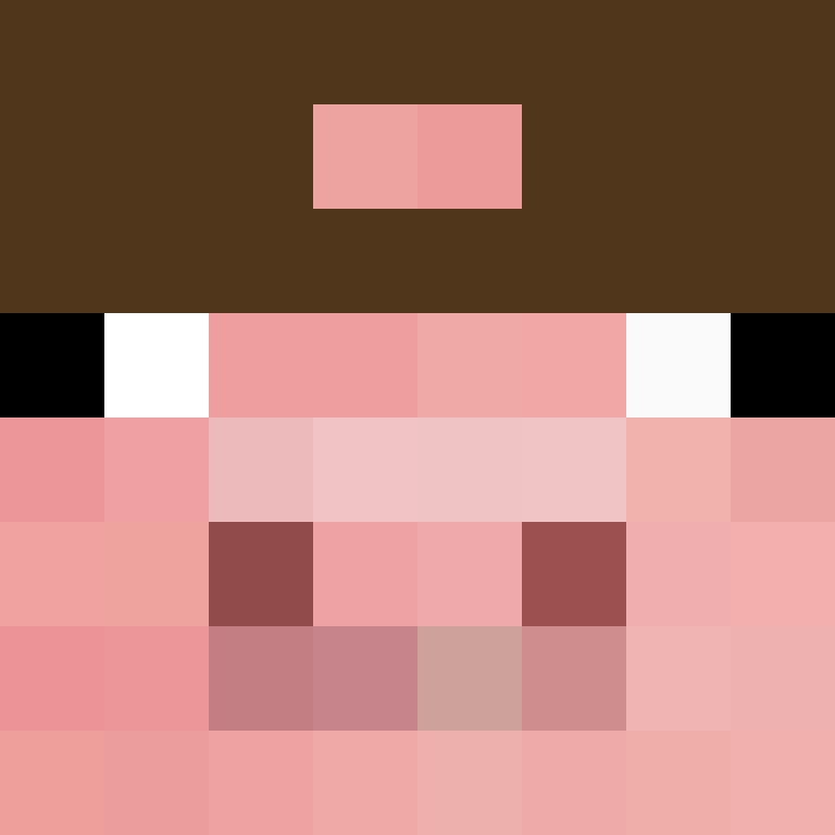 SkinEnthusiast's skin
