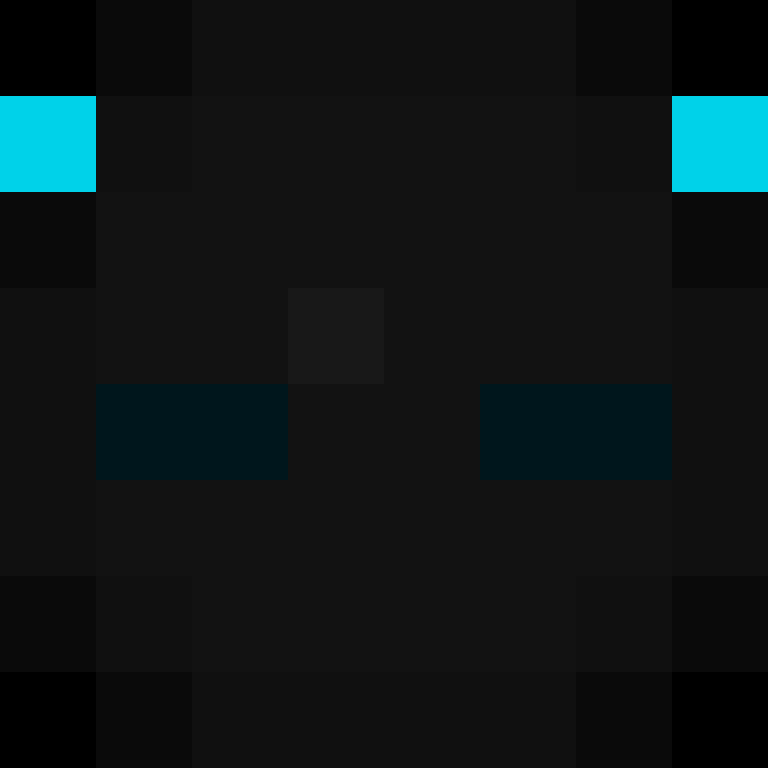 8aca680b22461340's skin