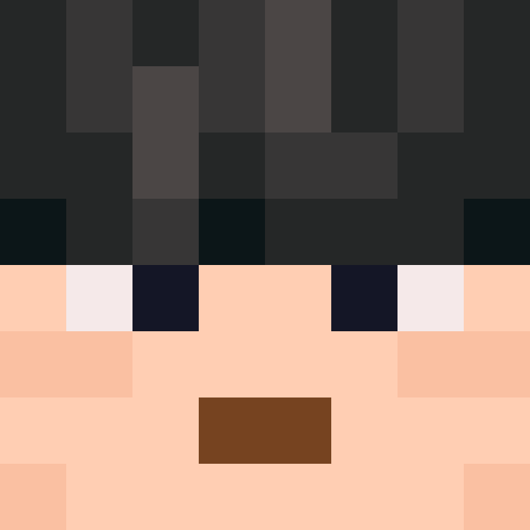 BukkitAPI's skin