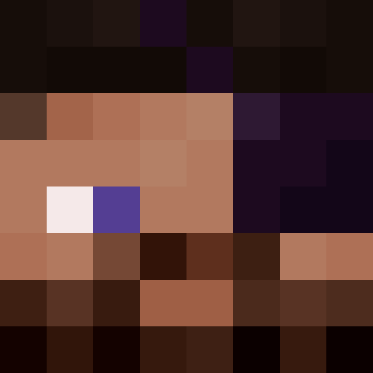 BukkitAPI's skin