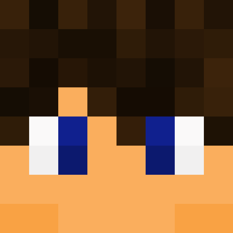 TheCuriousMiner's skin