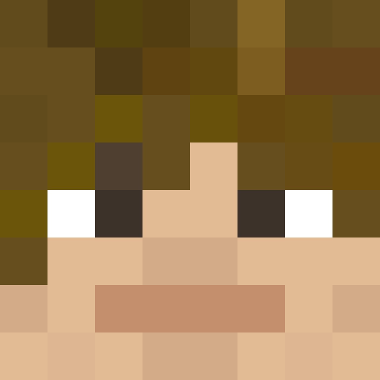 8aca680b22461340's skin