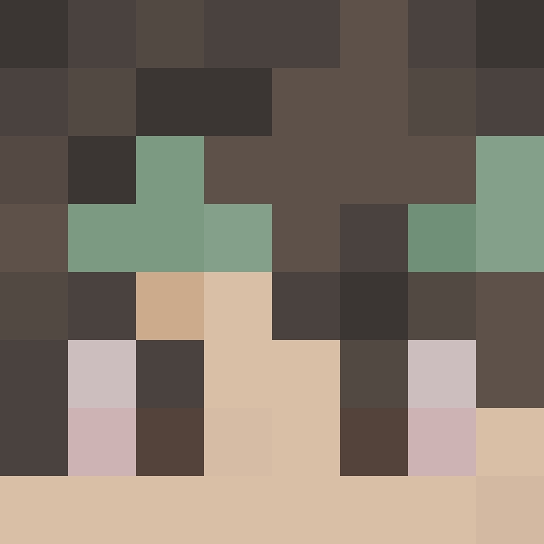 8aca680b22461340's skin