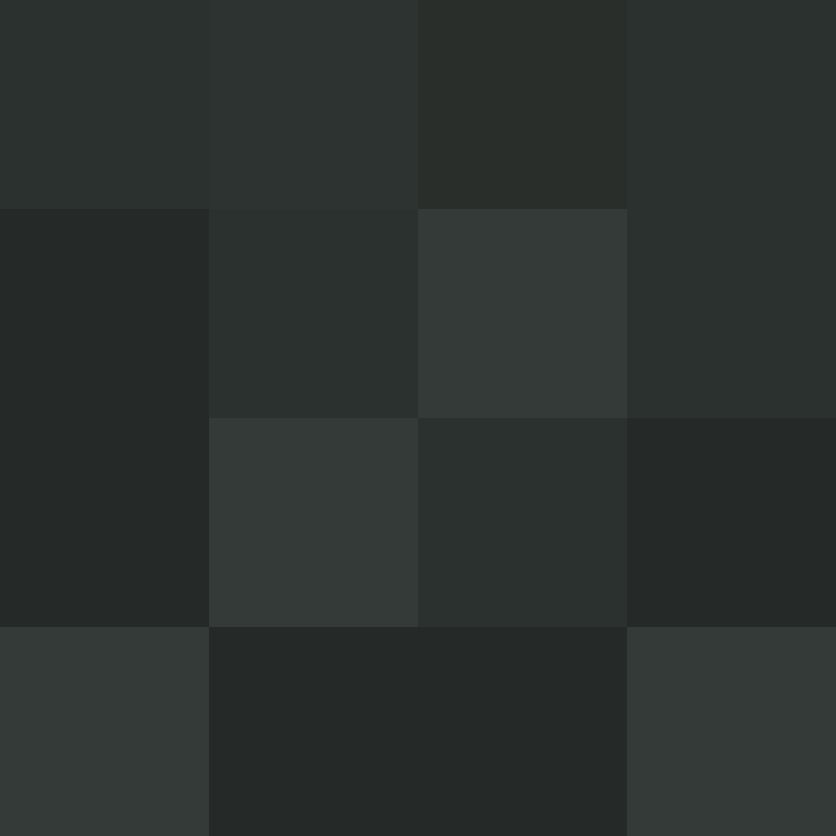 Cartizoll's skin