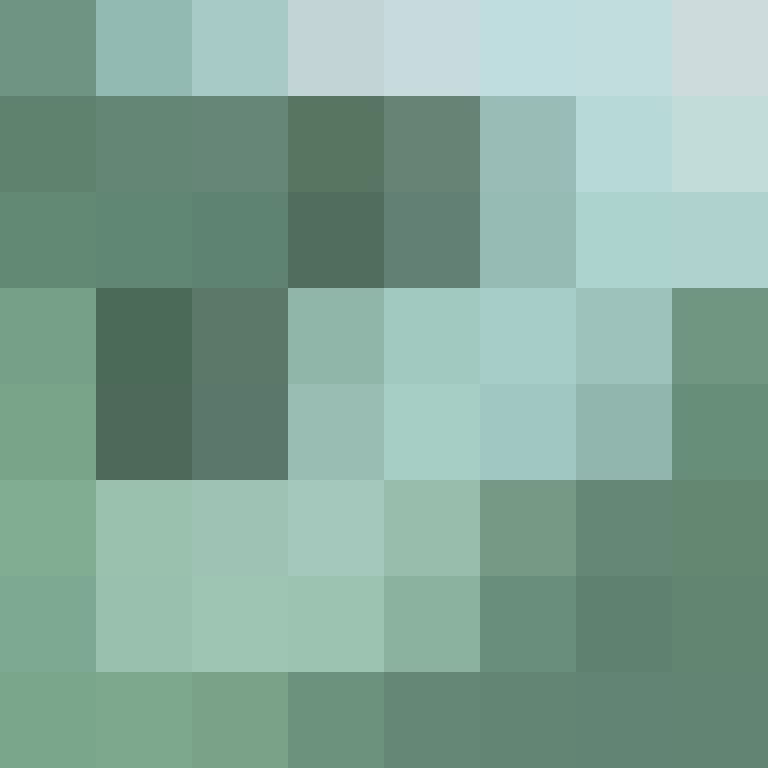 PtakopyskCZ's skin