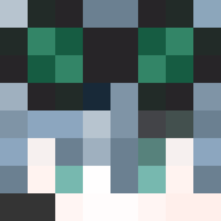 hannhums's skin