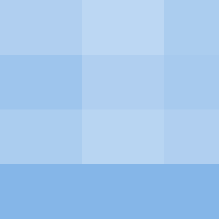 GeyserMC's skin