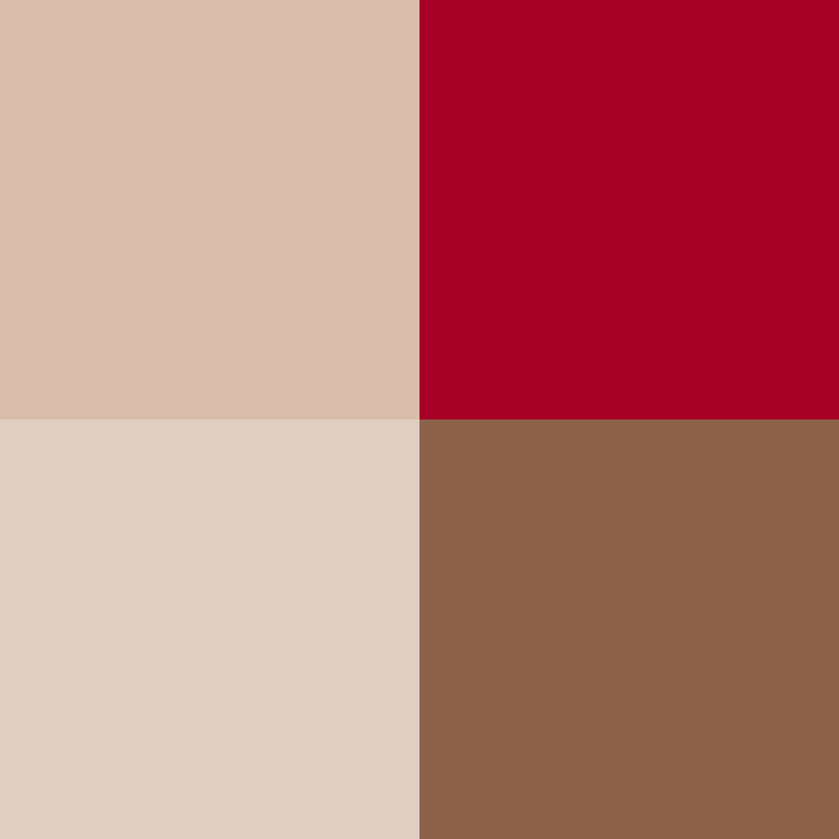 Piedrita17's skin