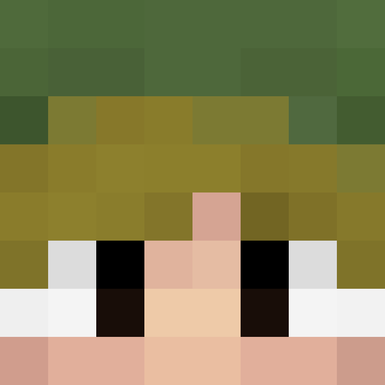 Pointue's skin