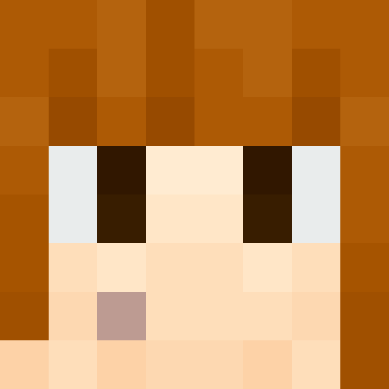 8aca680b22461340's skin