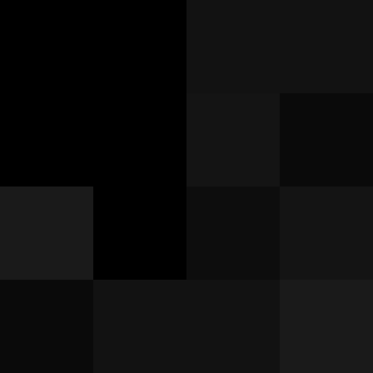 Cartizoll's skin