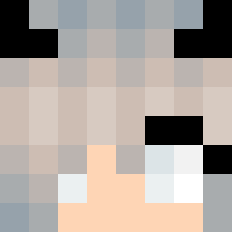 CeilingBird's skin