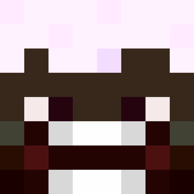 8aca680b22461340's skin