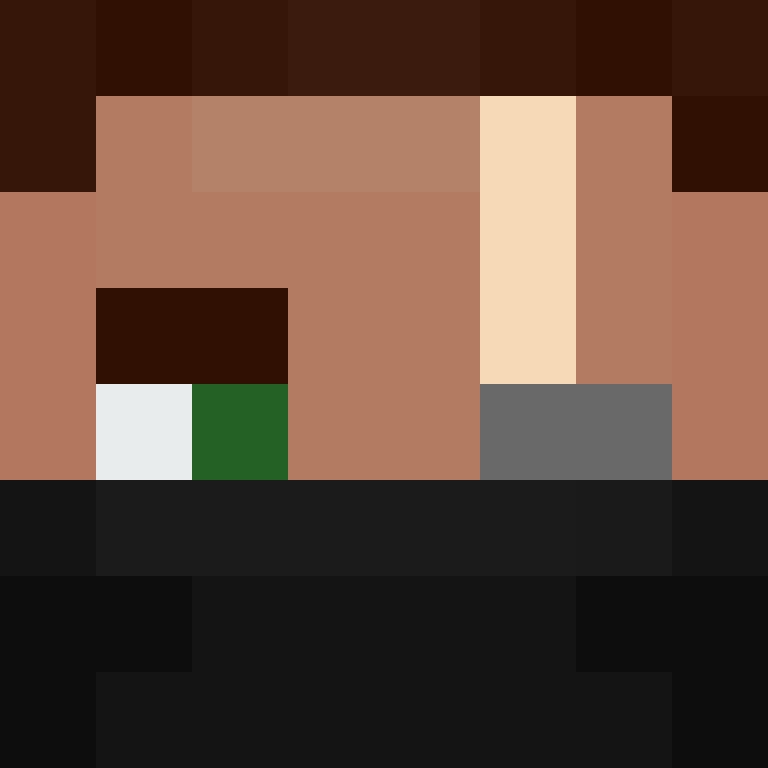 TheCuriousMiner's skin