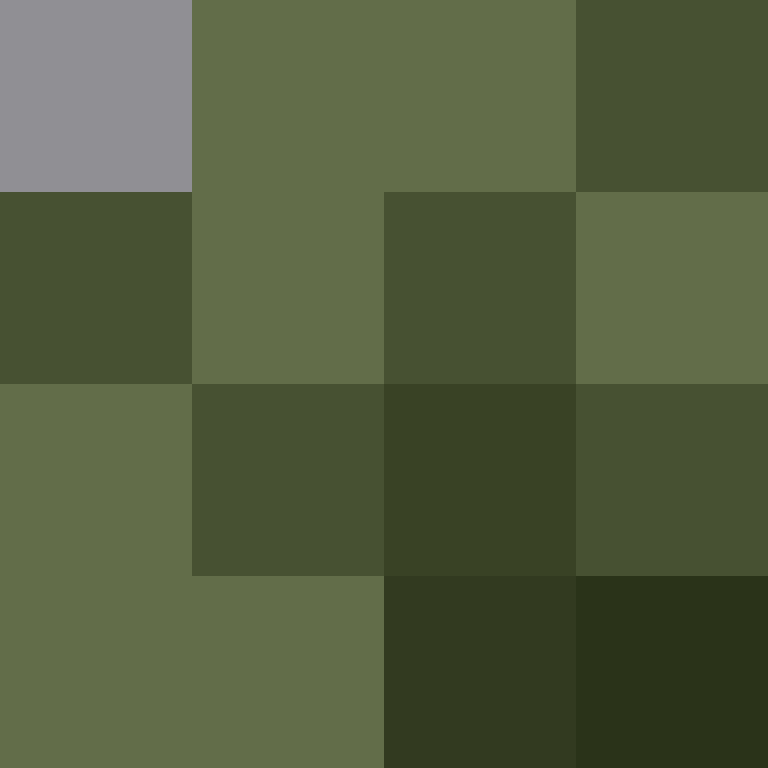 Tsunei's skin