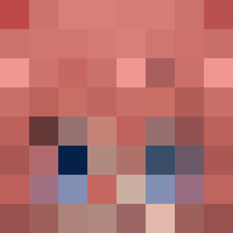 CeilingBird's skin