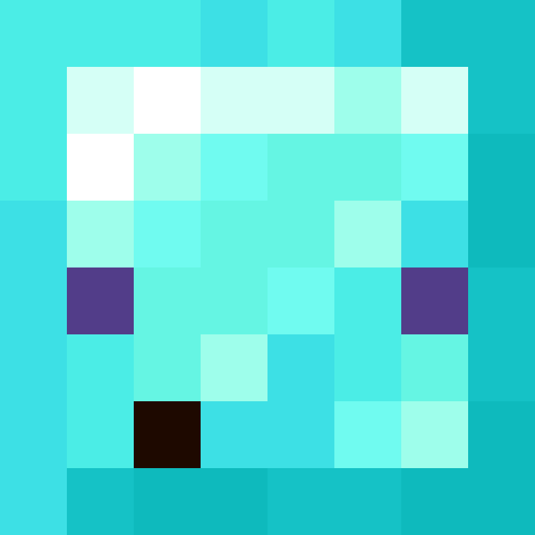 8aca680b22461340's skin