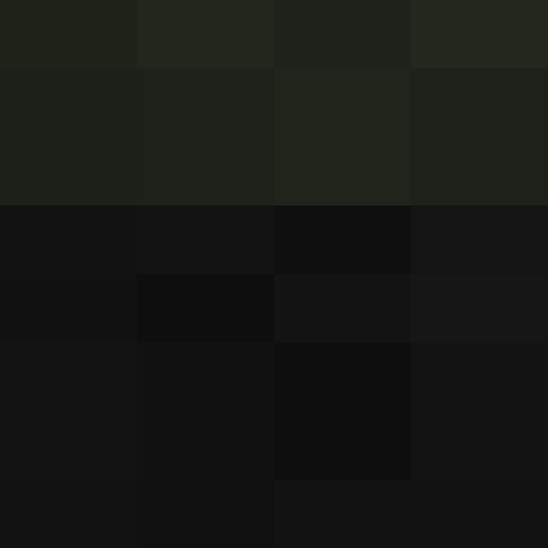 dragloner's skin
