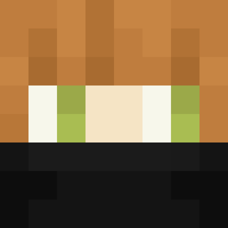 8aca680b22461340's skin