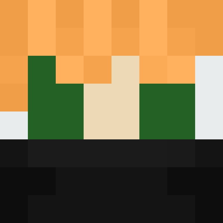 CeilingBird's skin