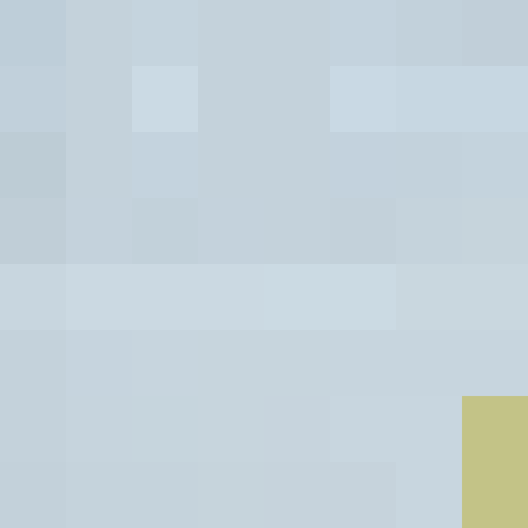 TheCuriousMiner's skin