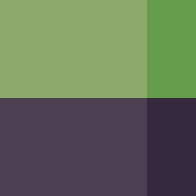 CeilingBird's skin