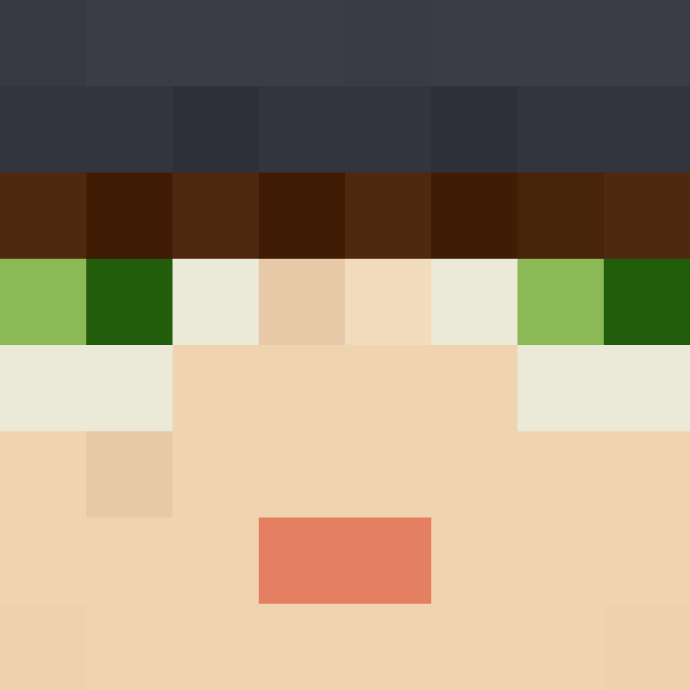 CeilingBird's skin