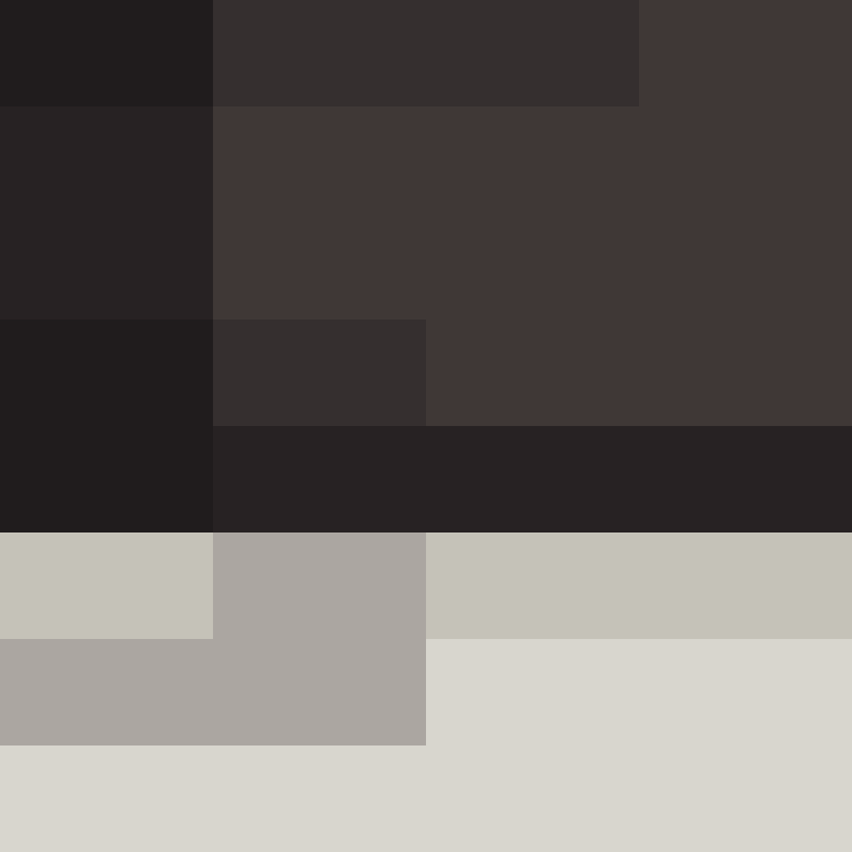 CeilingBird's skin