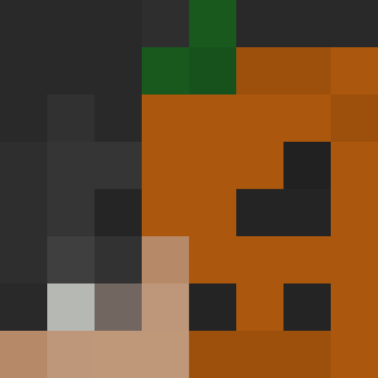 _craftmc's skin