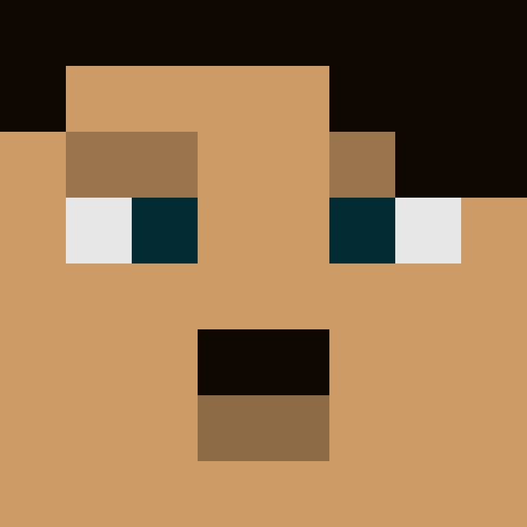 RuimMC's skin