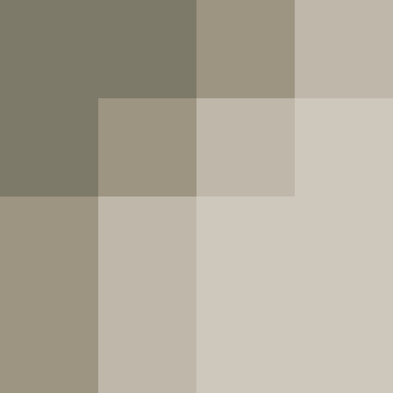 CeilingBird's skin