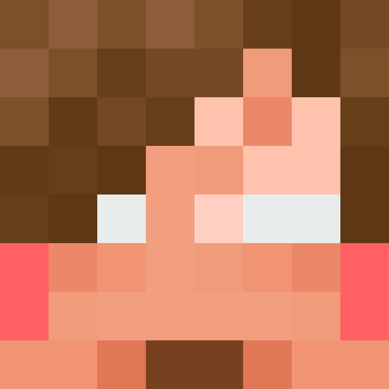 deminecrafterlol's skin