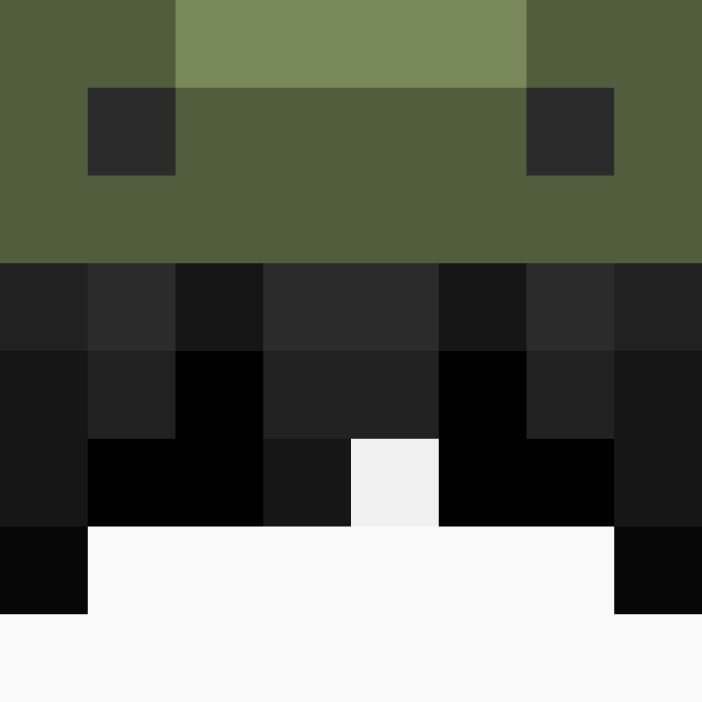 Echolizer's skin